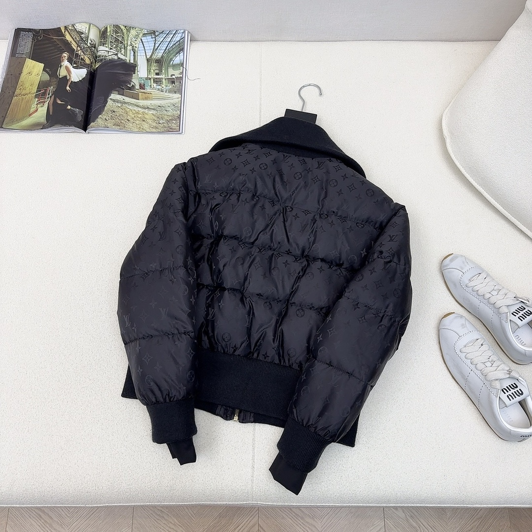 Louis Vuitton Down Jackets